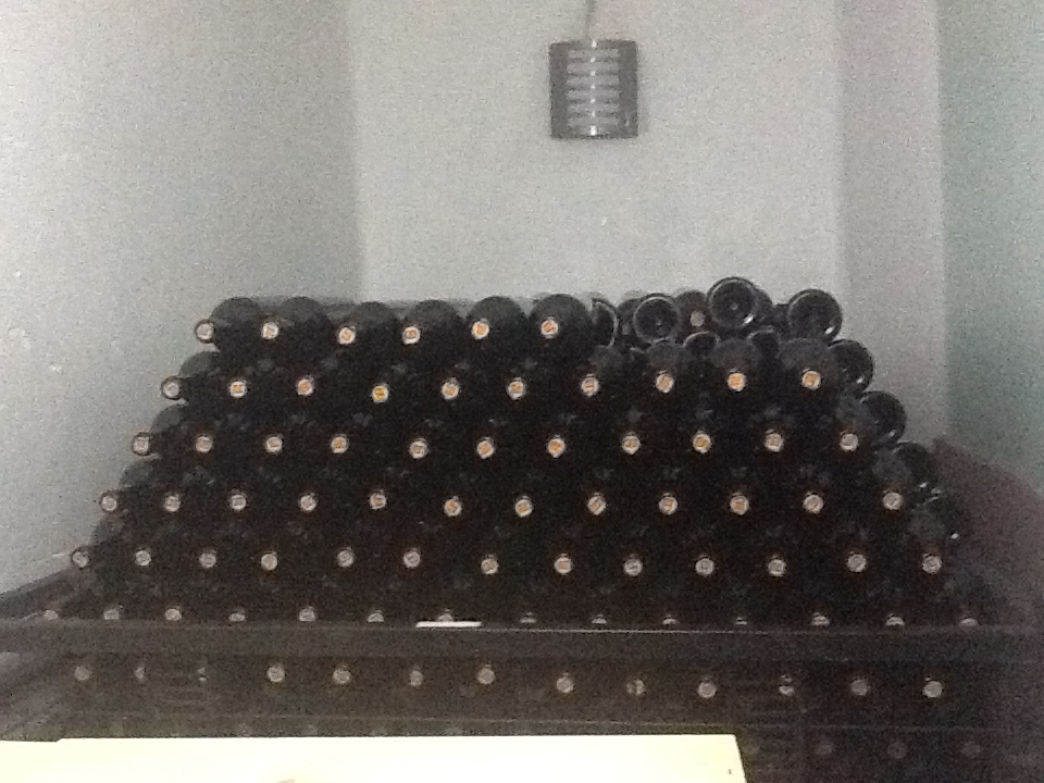 Sentencia_2010_Duerme